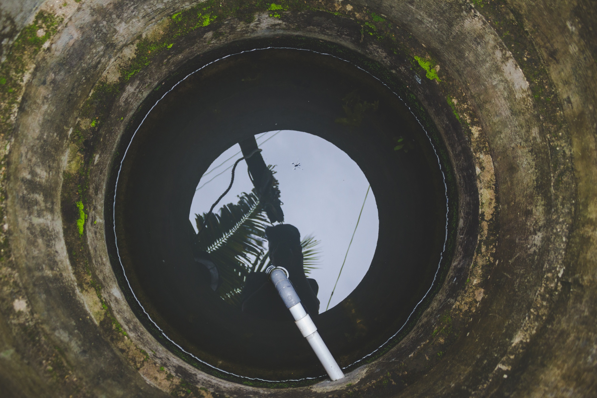 Drain cleaning